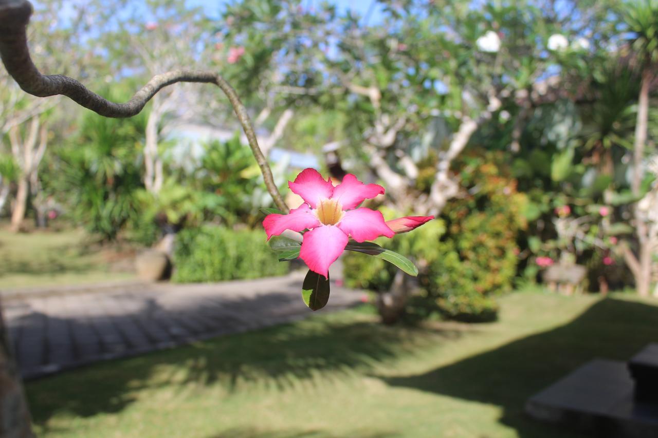 El Homestay Bali Nusa Dua  Luaran gambar