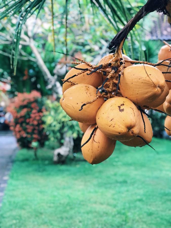 El Homestay Bali Nusa Dua  Luaran gambar
